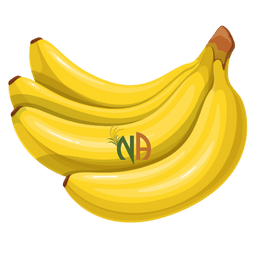 NA%20Global%20Impex
